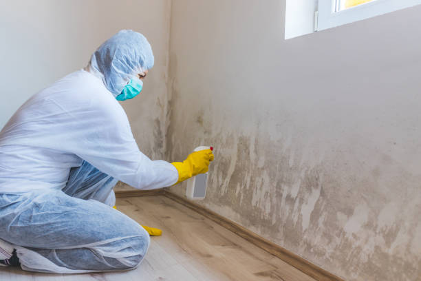 Mold Remediation specialist working in Catharpin
