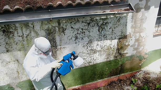 Mold Remediation service in Catharpin, Catharpin, VA